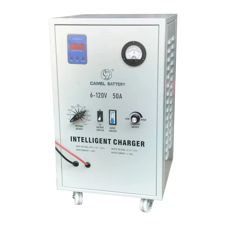 Chargeur de batterie robuste 12 24v