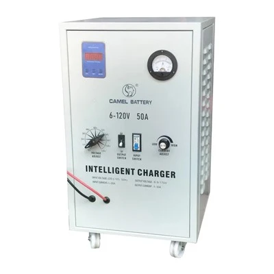 Chargeur de batterie robuste 12 24v